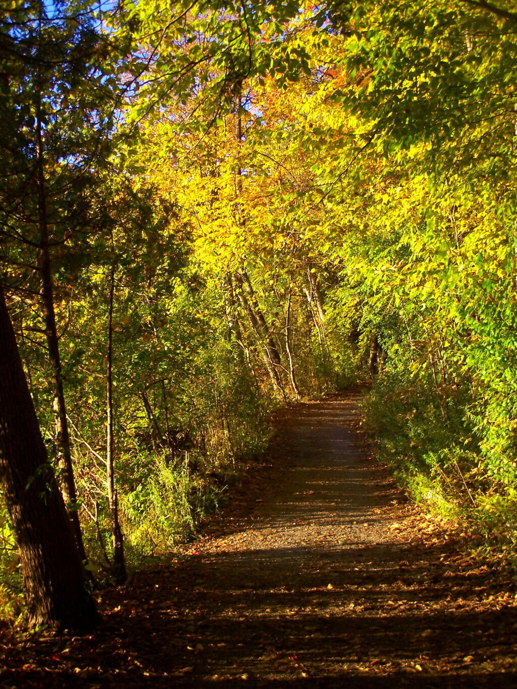 Photo: Untitled