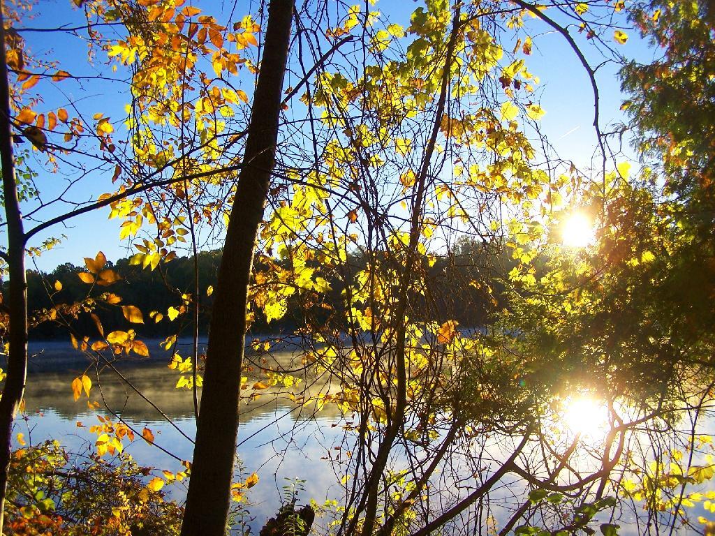 Photo: Untitled