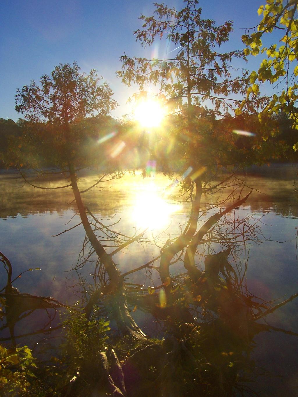 Photo: Morning