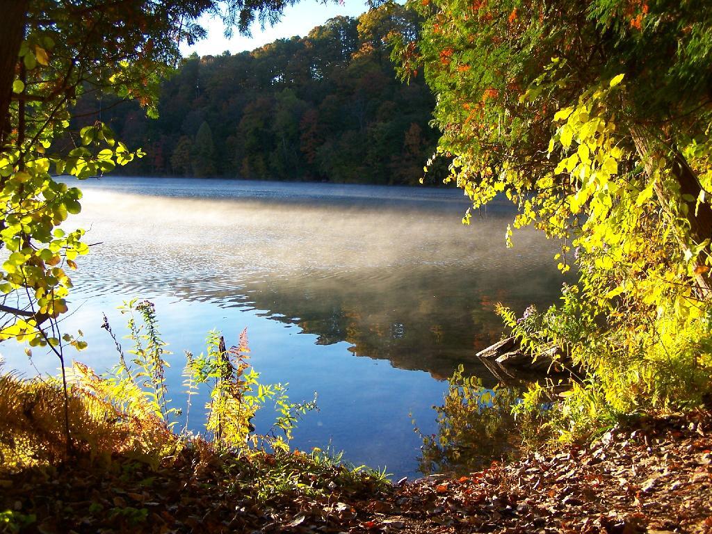 Photo: Fog on Green Lake