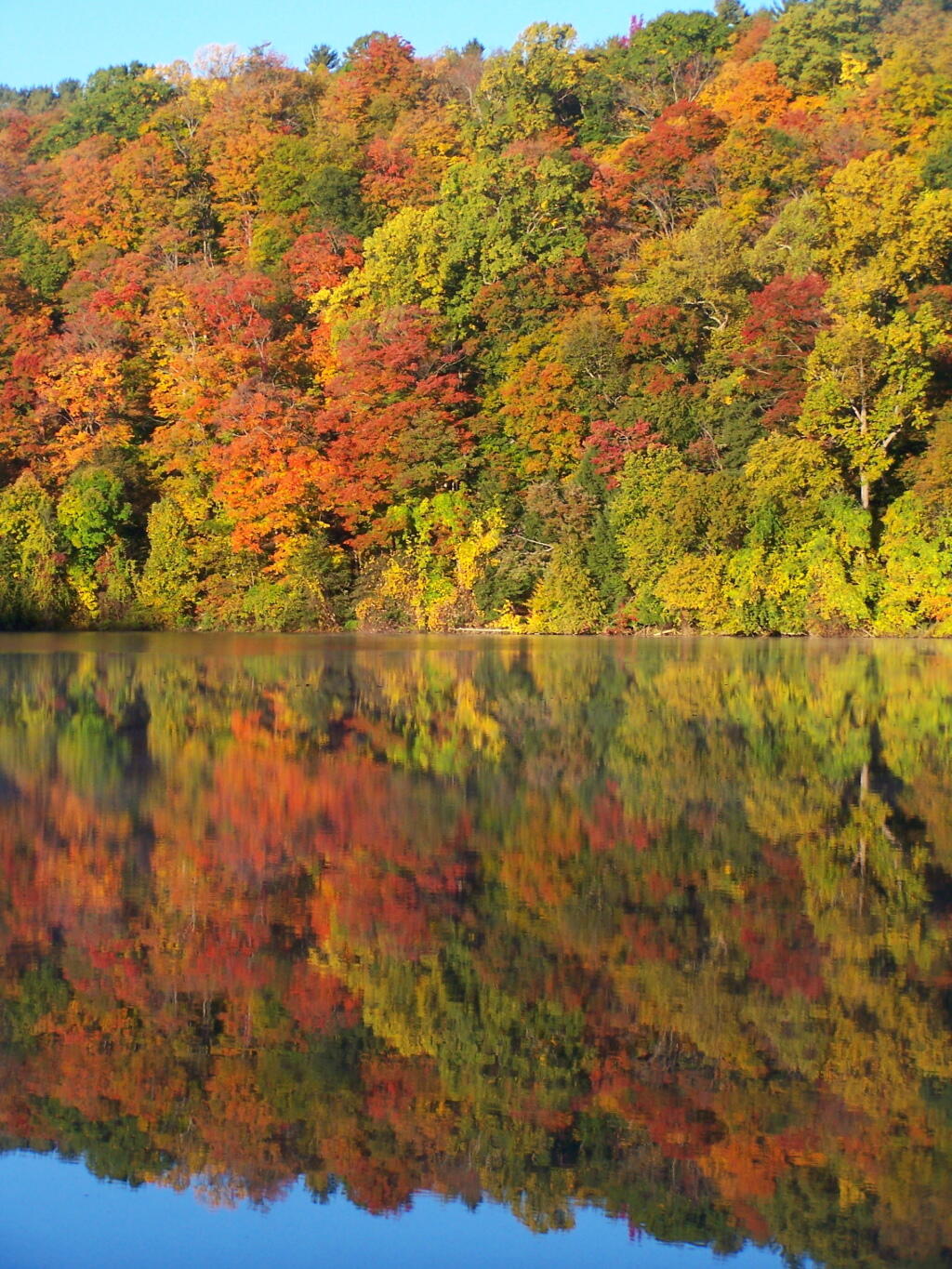 Photo: Colors