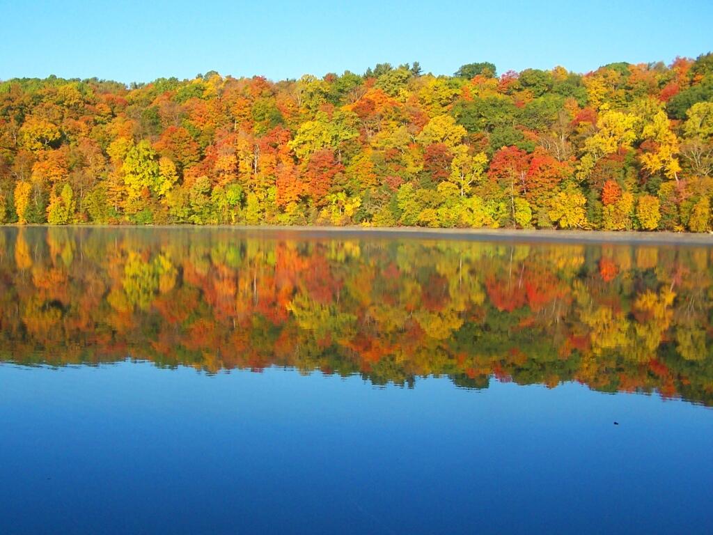 Photo: Reflection