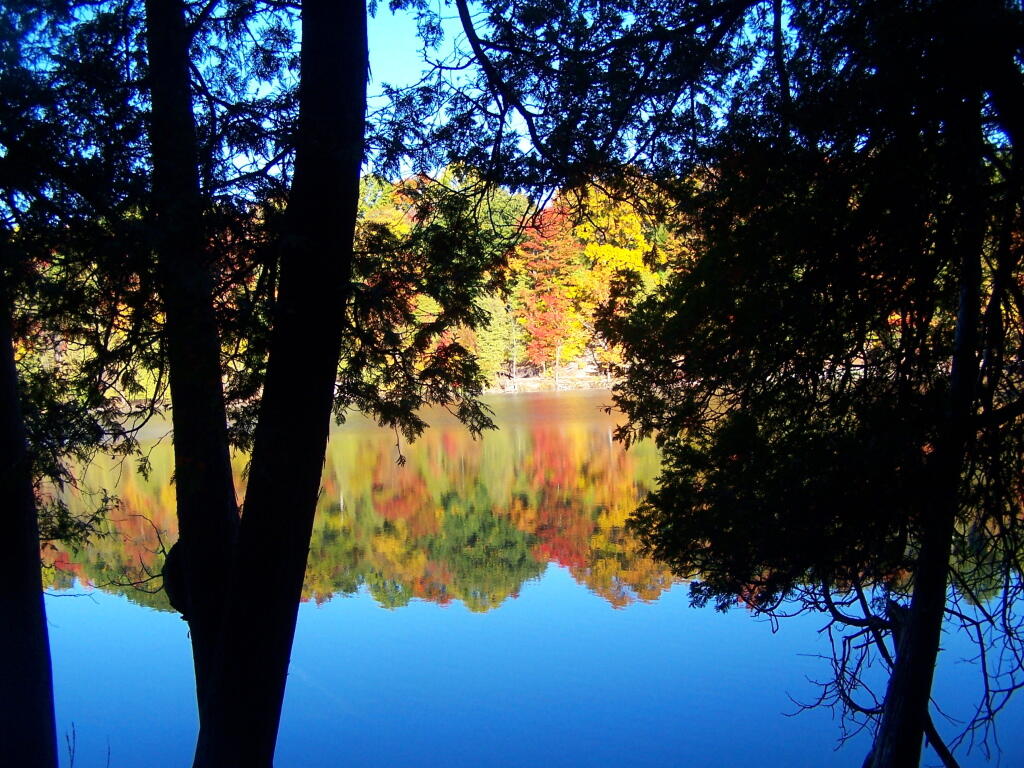Photo: Walking Along Green Lake