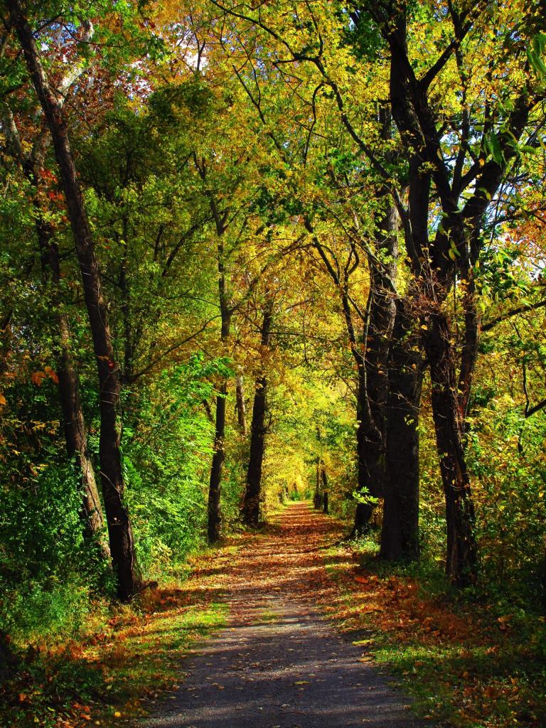 Photo: Along the C & O Trail