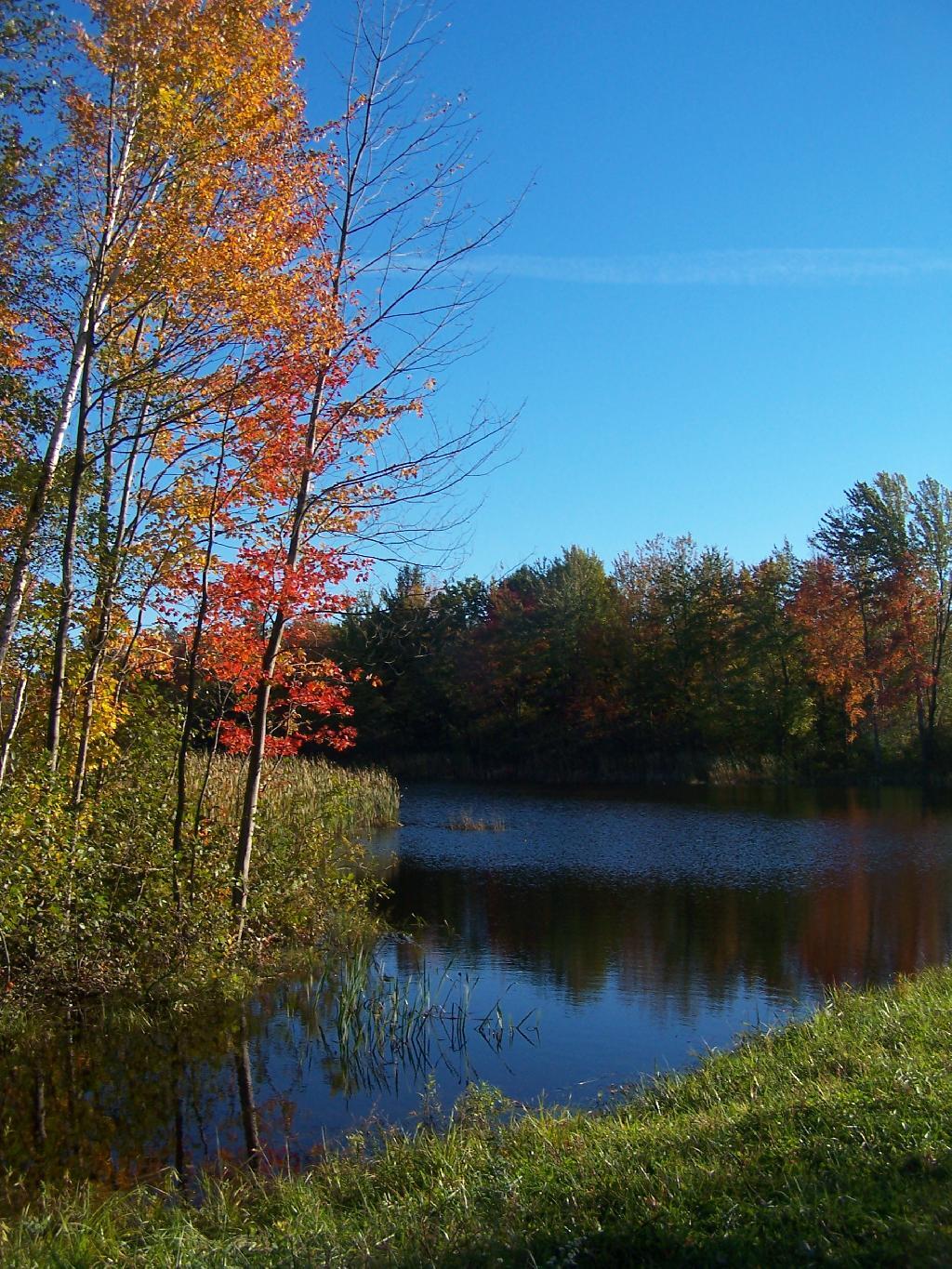Photo: Pond Along Potter Road