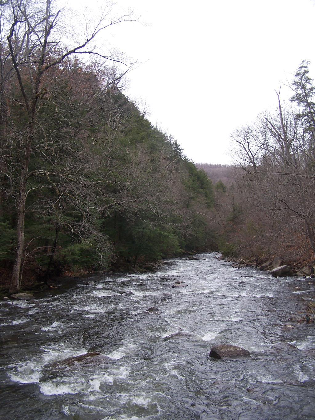 Photo: Chittenango Creek