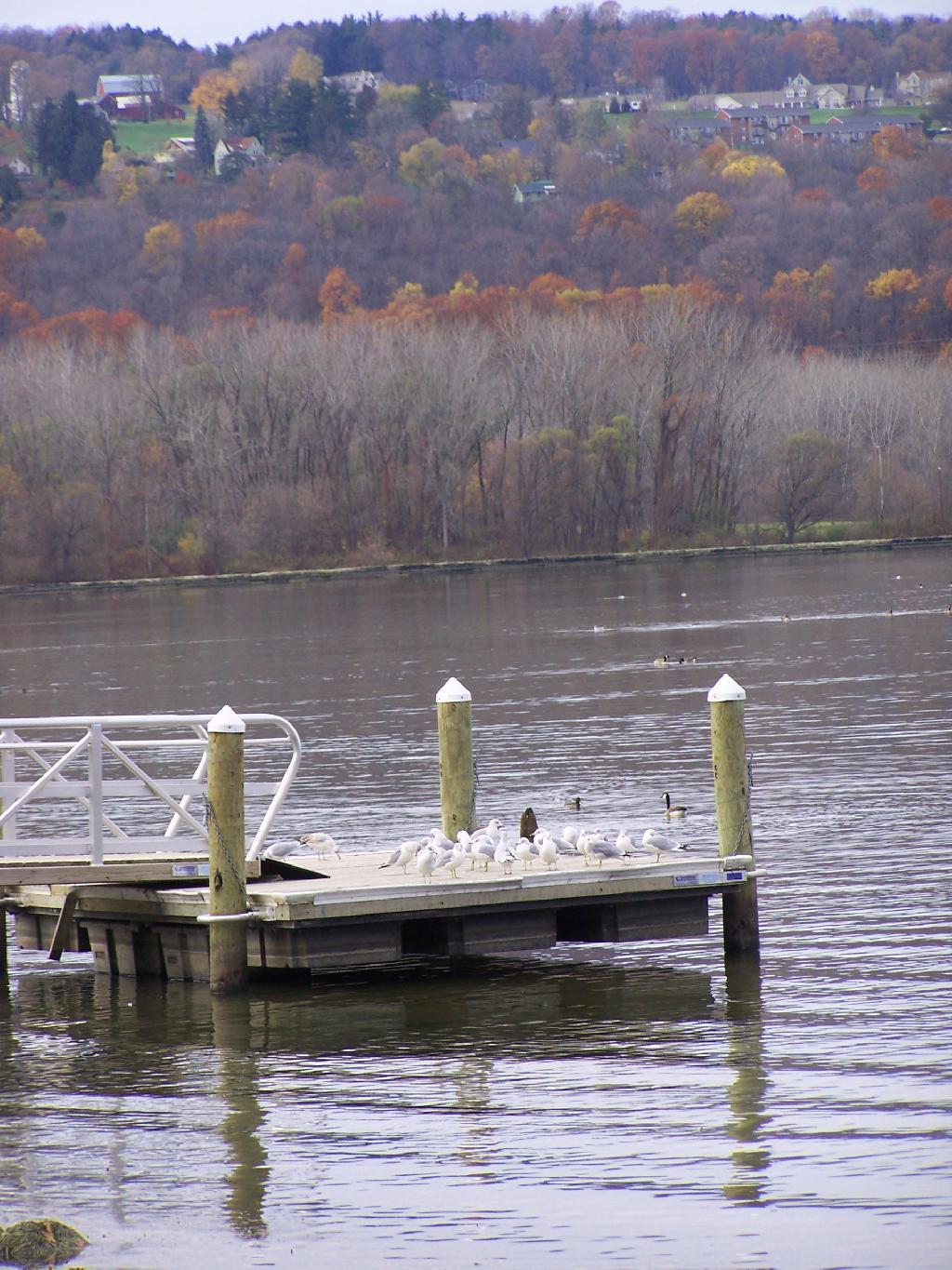 Photo: Dock