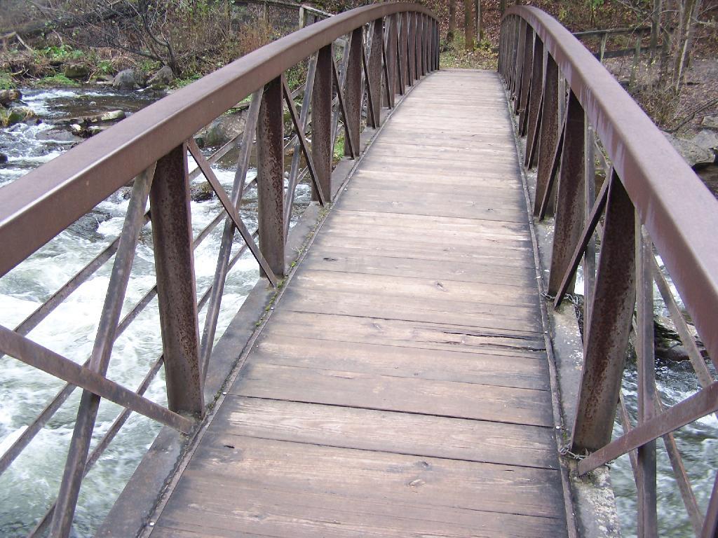 Photo: Pedestrian Bridge