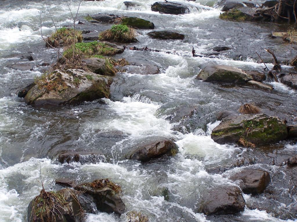 Photo: White Water