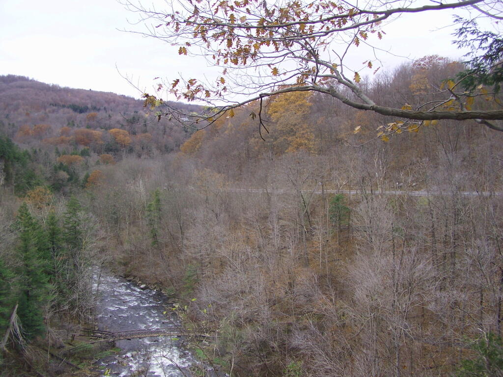 Photo: River Gorge
