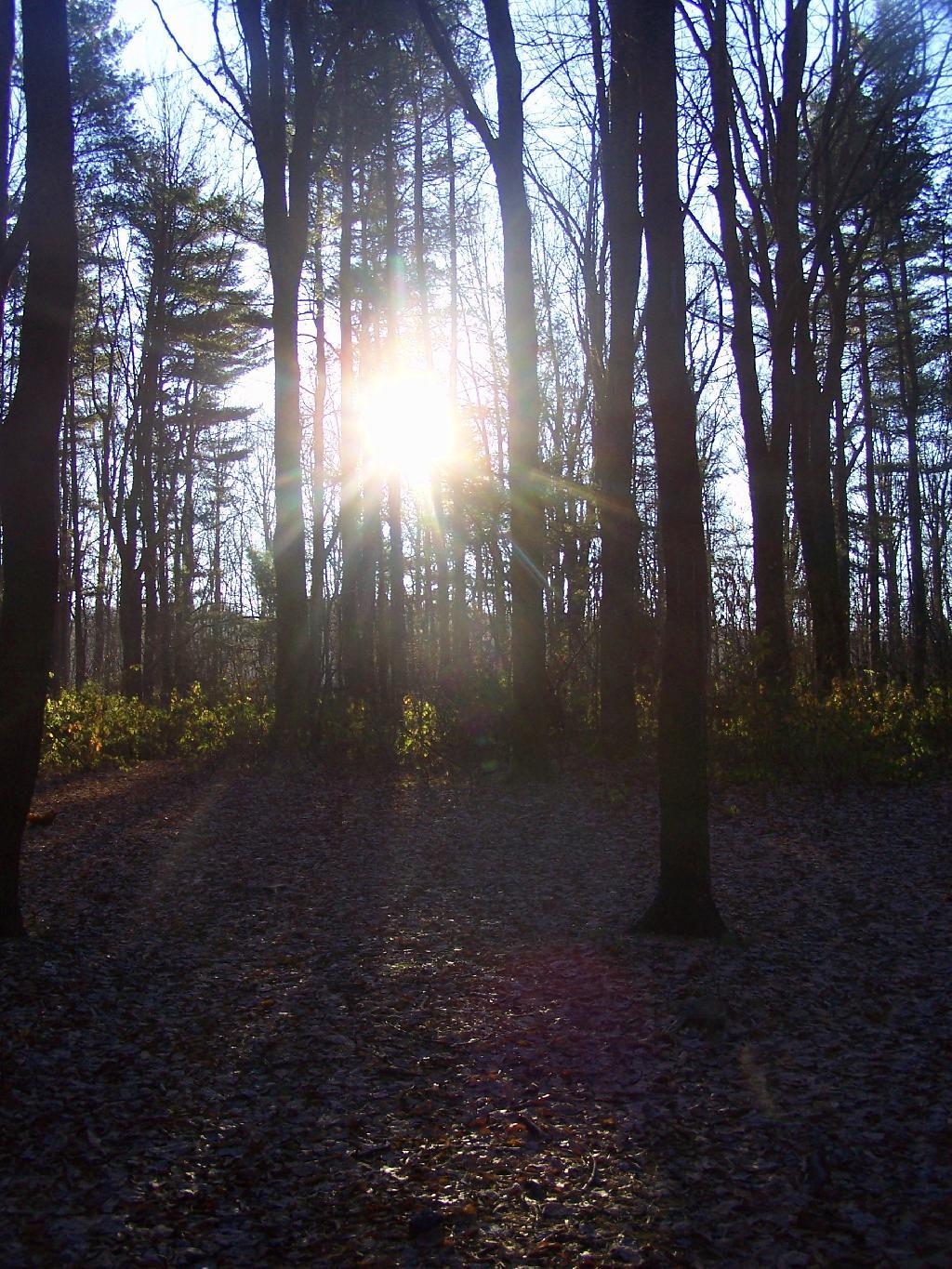 Photo: Sunrise