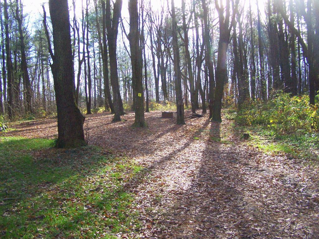 Photo: Campsite 8