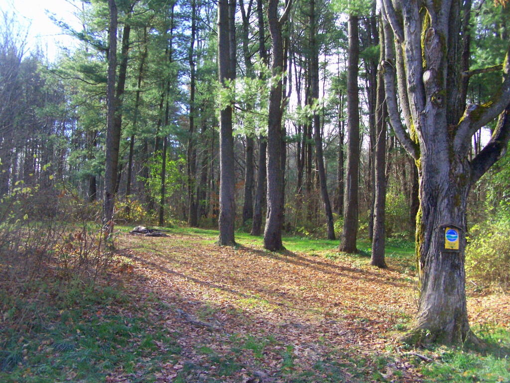 Photo: Campsite 4