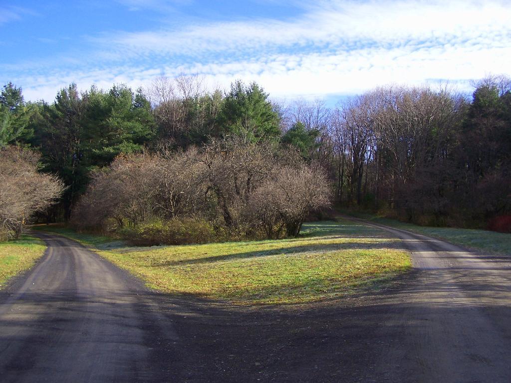 Photo: Campground Roads