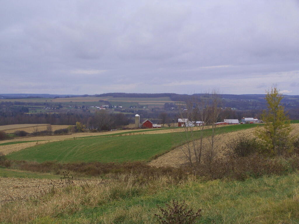 Photo: Farms Looking Down Towards Cayuga Lake