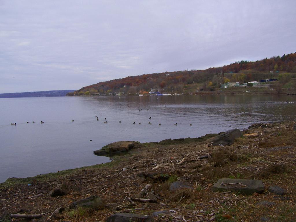 Photo: Cayuga Lake