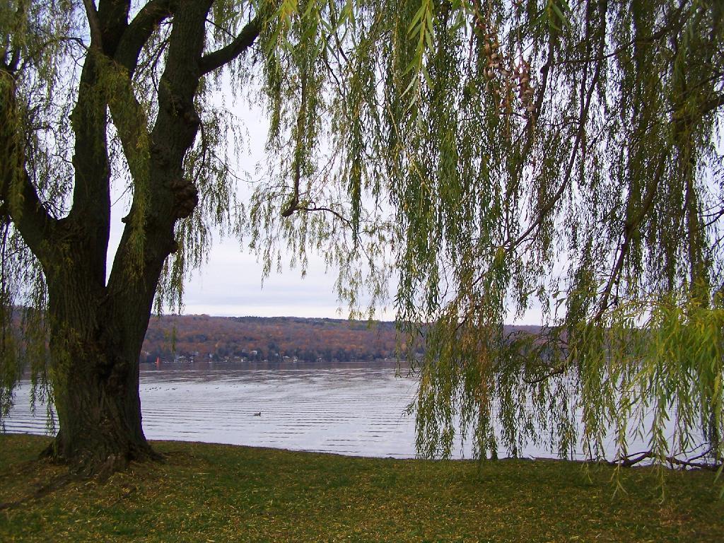 Photo: Cayuga Lake
