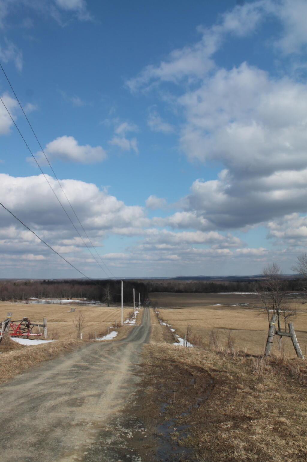 Photo: Truck Trail to Firetower