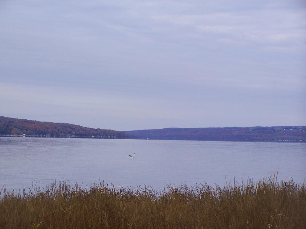 Photo: Across the Lake Photo: Across the Lake