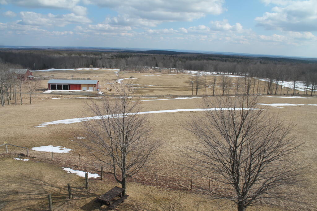 Photo: Farm Field Around Tower