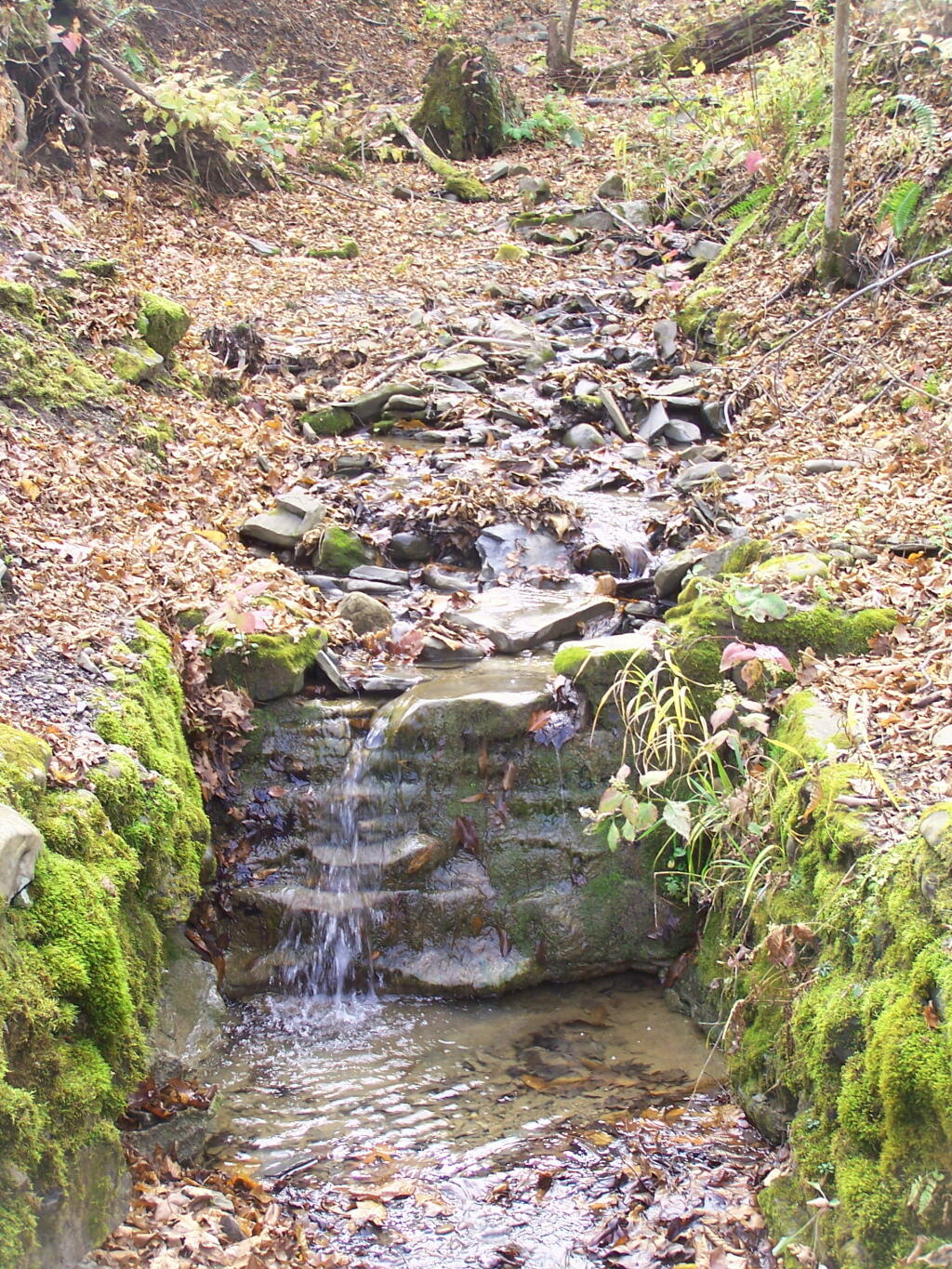 Photo: Stream Flowing into Buttermilk Creek