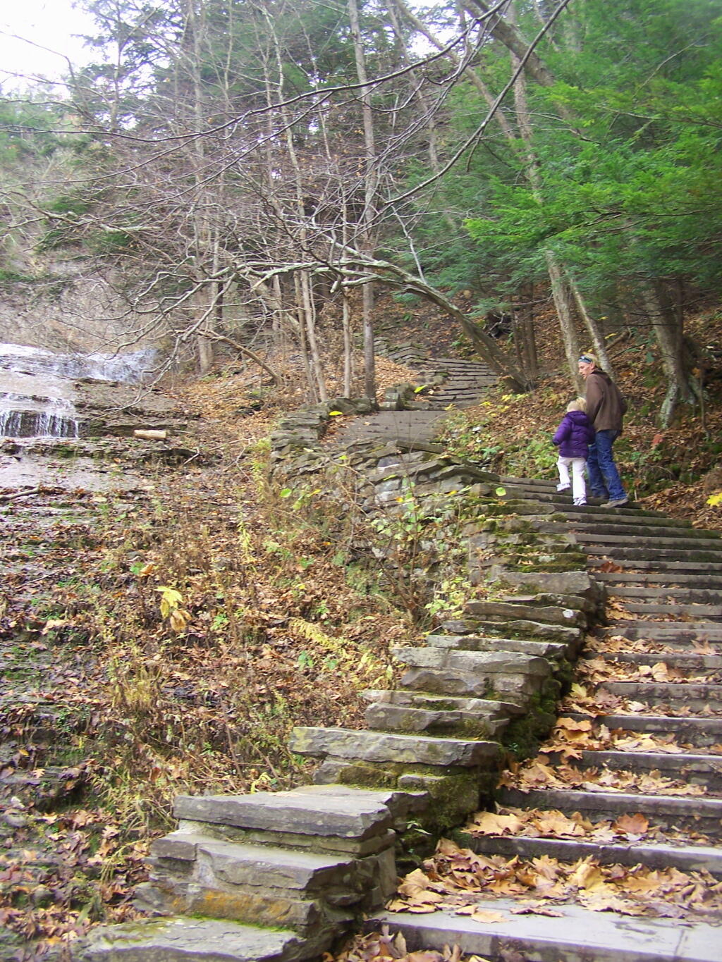 Photo: Stair Case Up the Falls