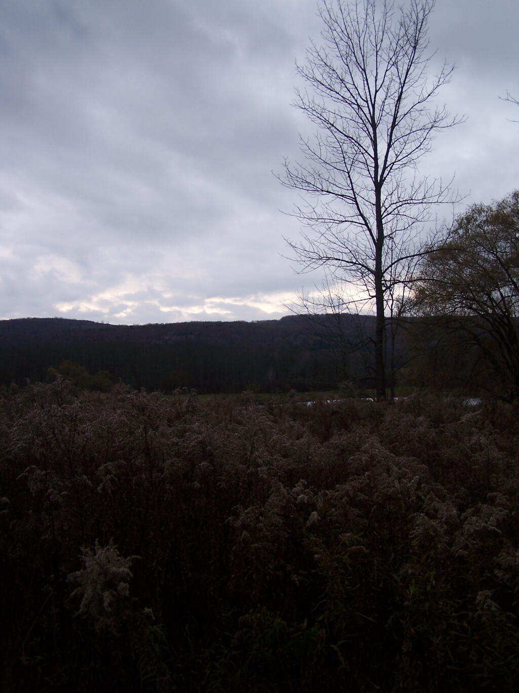 Photo: Untitled
