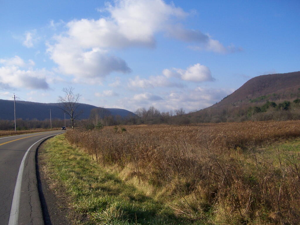 Photo: Coon Hollow