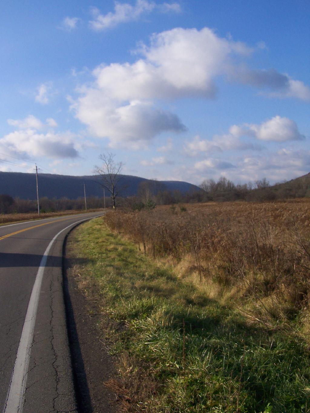 Photo: Coon Hollow