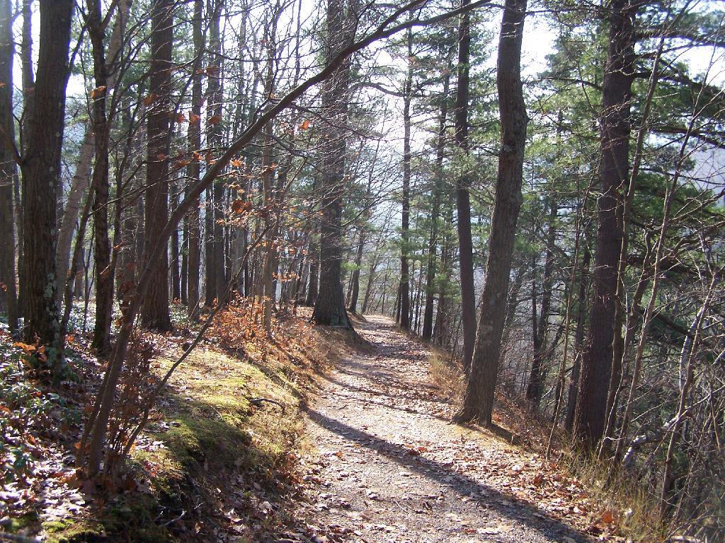 Photo: Descending the Overlook Trail