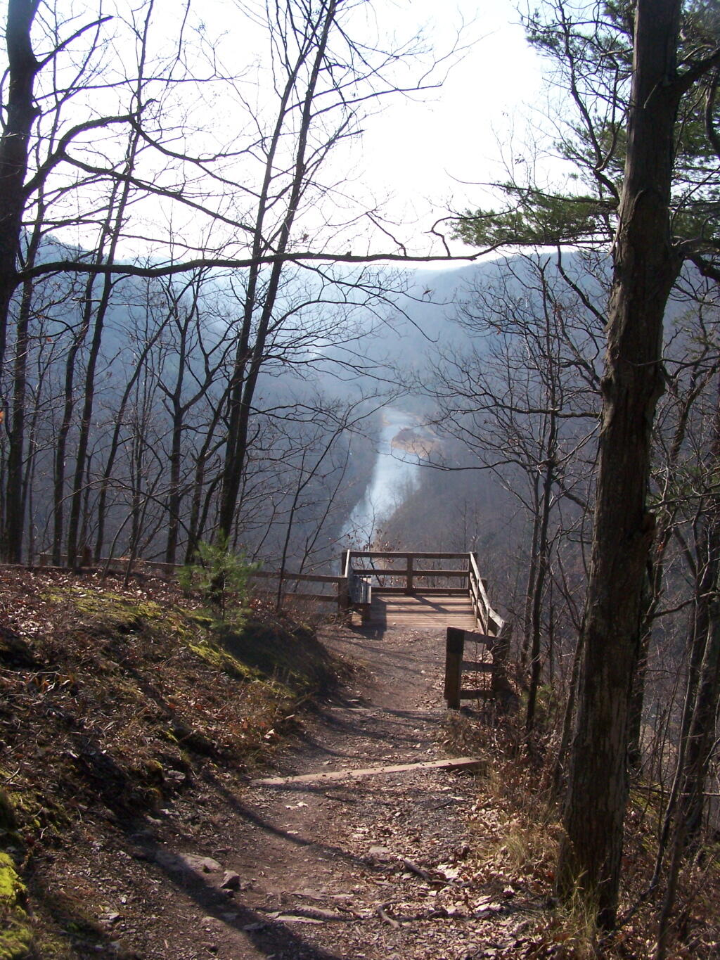 Photo: Heading Down to Otter View