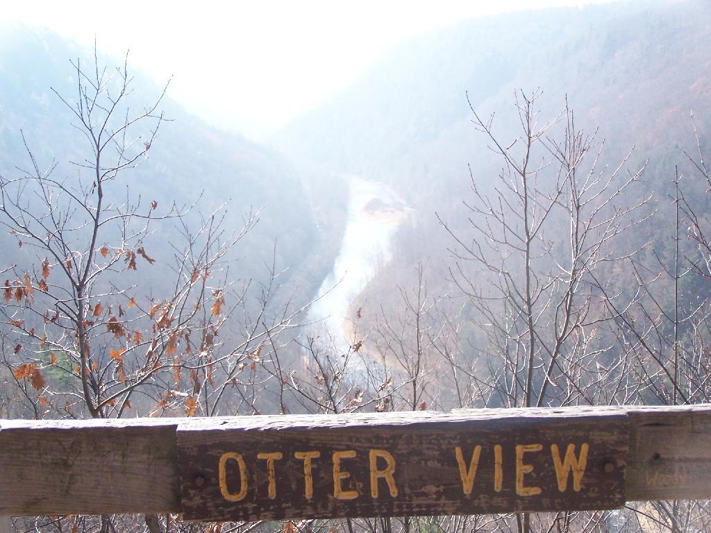 Photo: Otter View