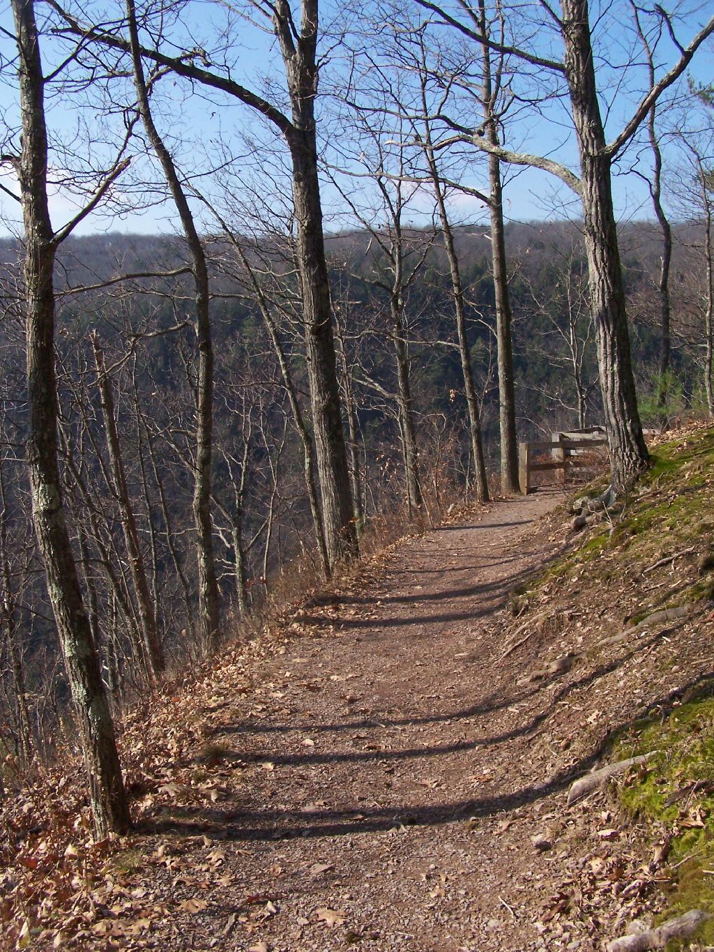 Photo: Along the Escarpment Trail