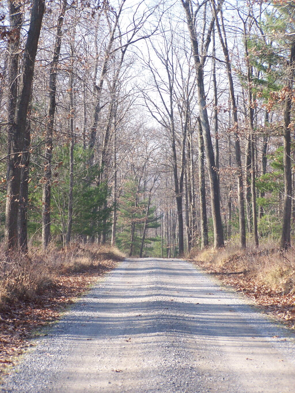 Photo: West Rim Road
