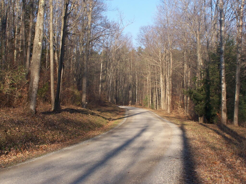 Photo: West Rim Road in Afternoon
