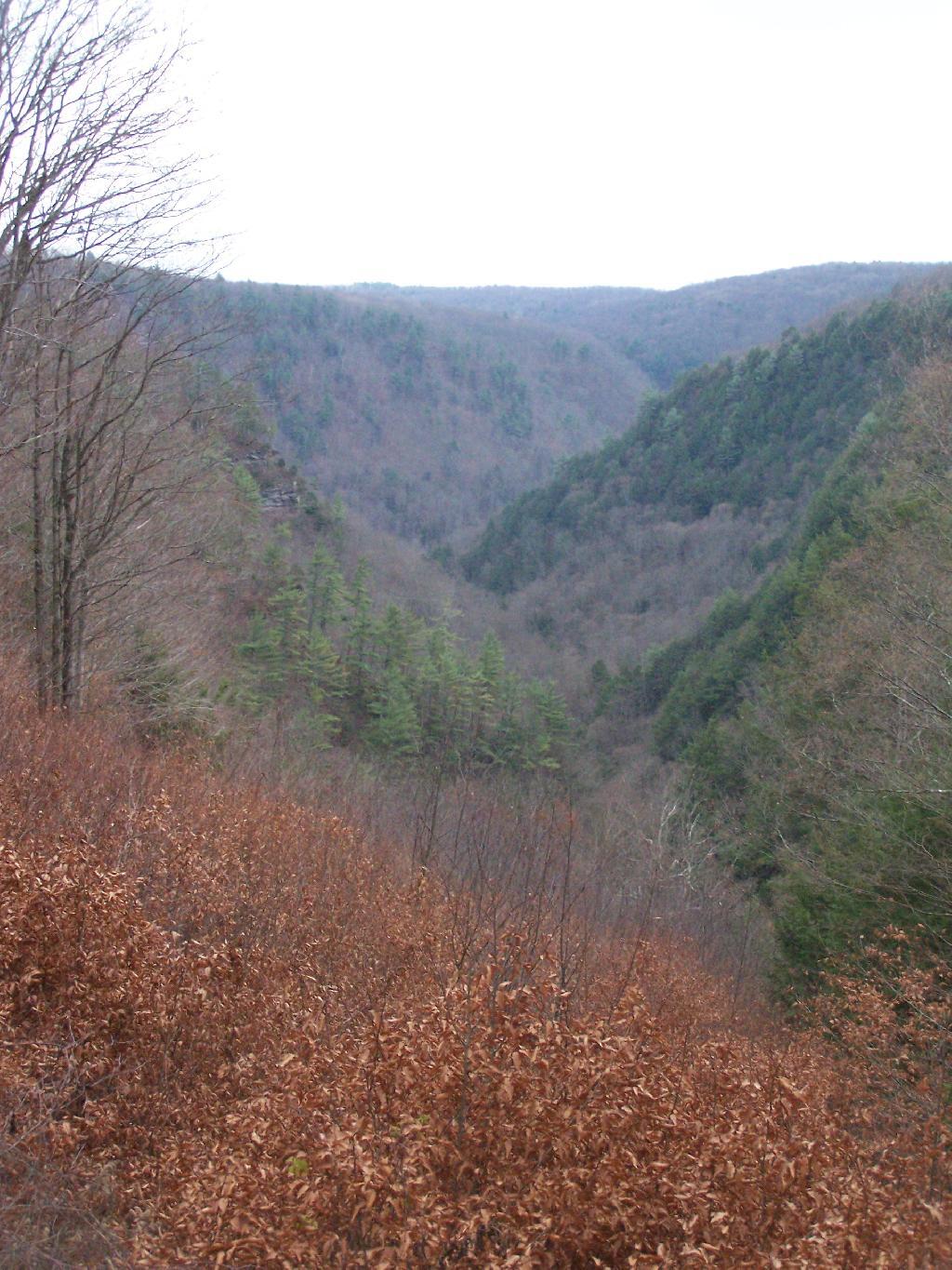 Photo: Four Mile Vista