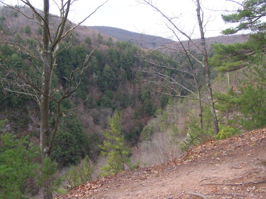 Photo: Into the Four Mile Run