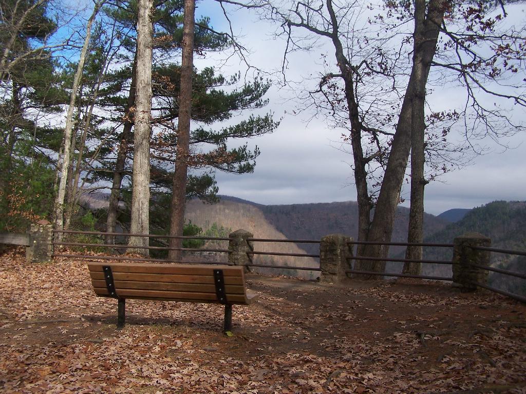 Photo: Bench
