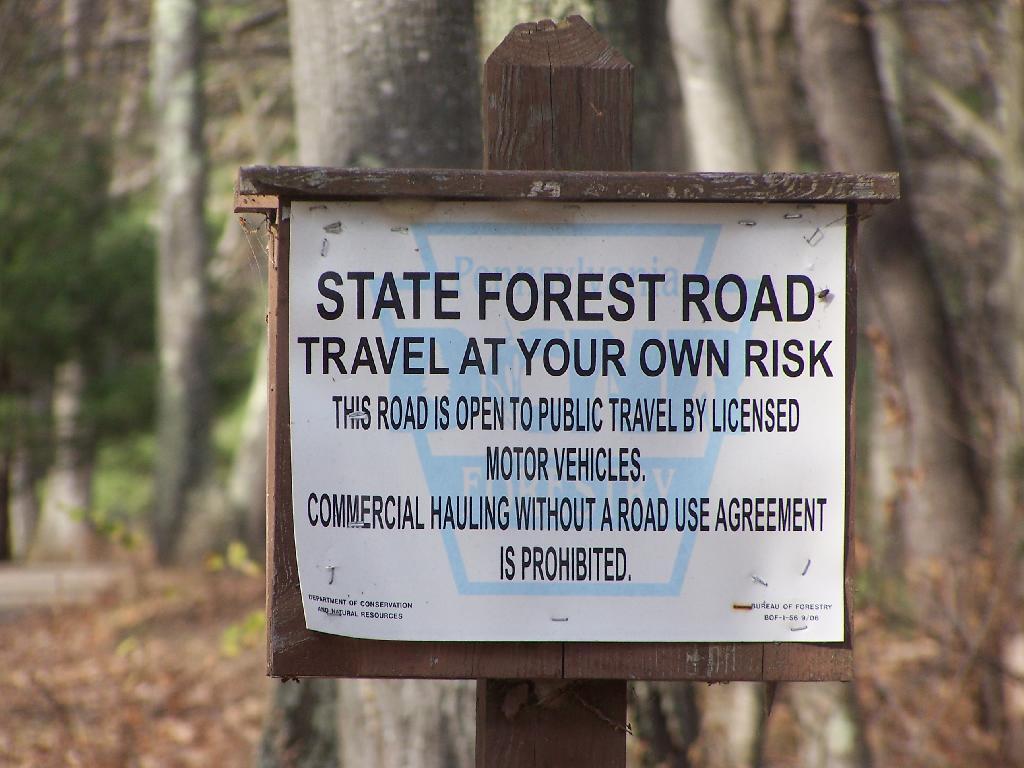 Photo: State Forest Road Sign