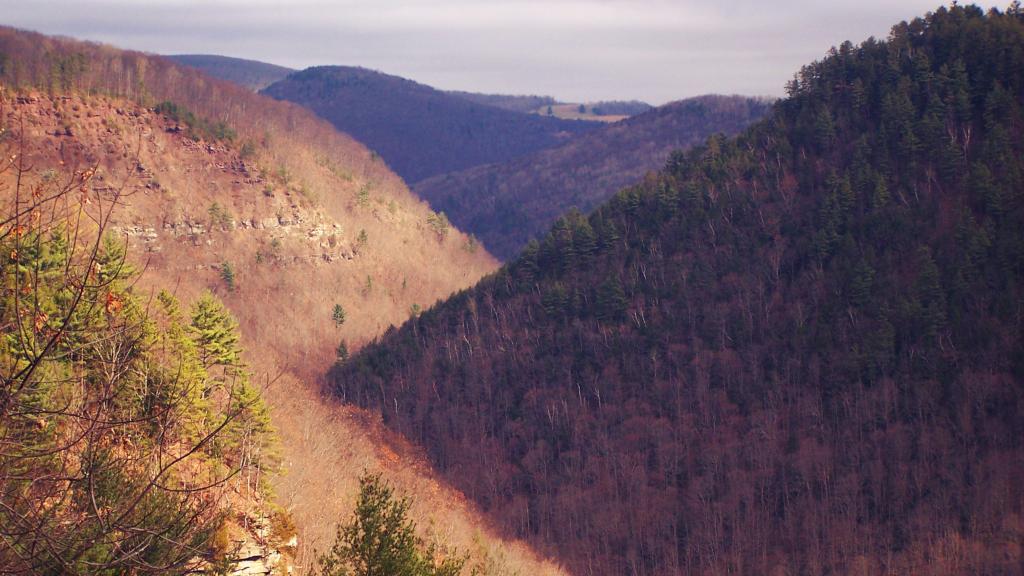 Photo: The Canyon