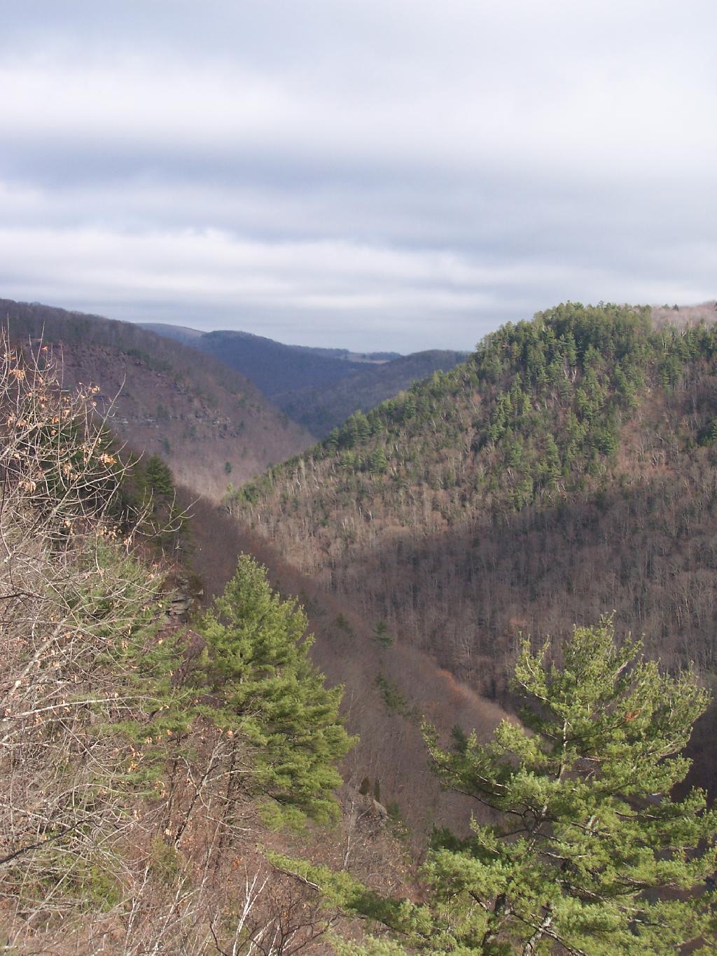 Photo: The Canyon