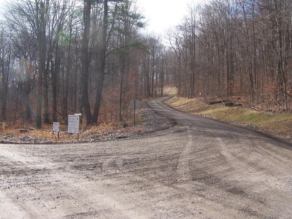 Photo: Forest Road Improved for Gas Drilling