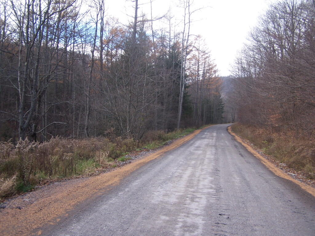 Photo: Forest Road Hardened for Drilling Rigs