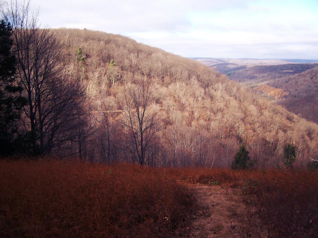 Photo: Water Trough Hollow