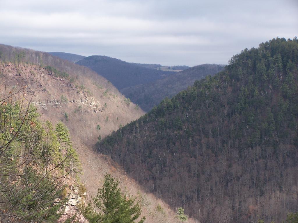 Photo: Canyon Rims