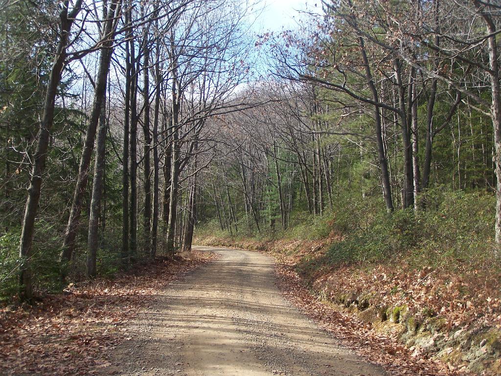 Photo: Walking Along Cedar River Road