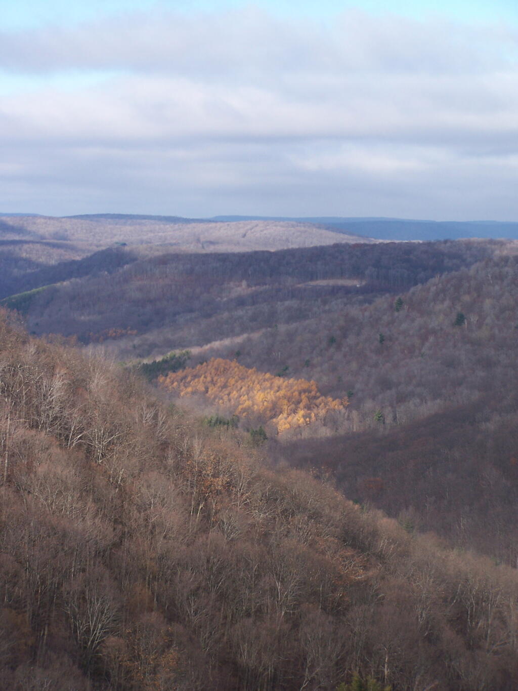 Photo: Cedar Mountain Vista Photo: Cedar Mountain Vista