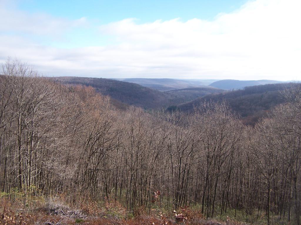 Photo: Cedar Mountain Vista