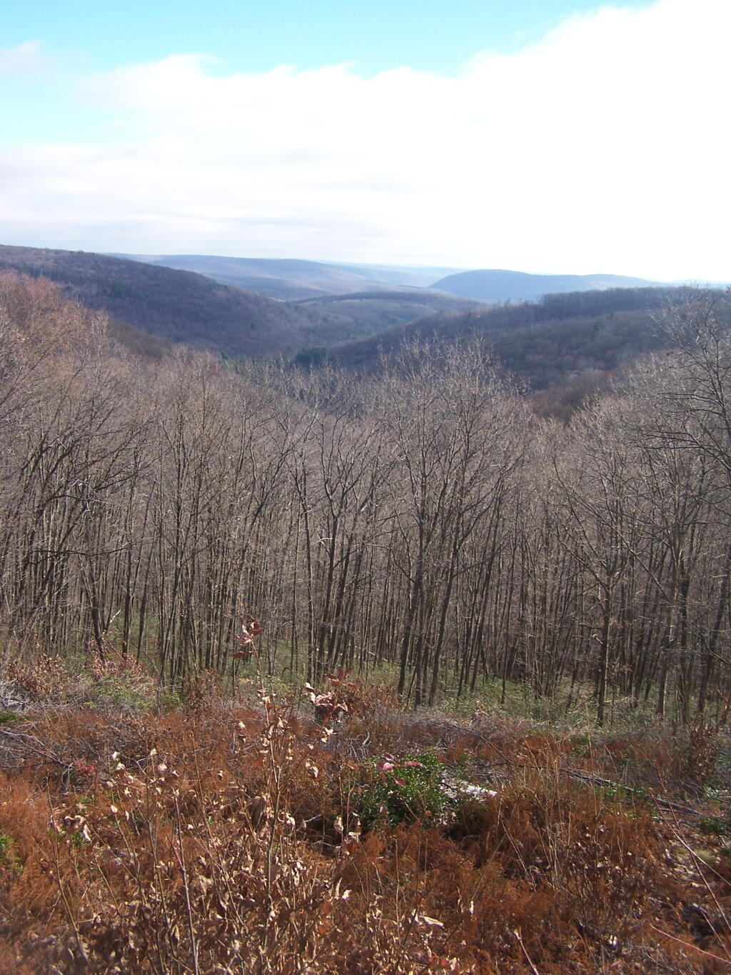 Photo: Mountains
