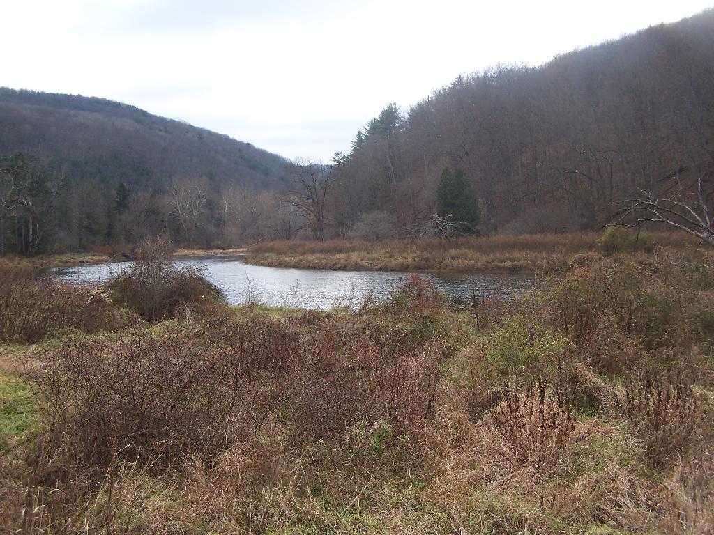 Photo: Pine Creek
